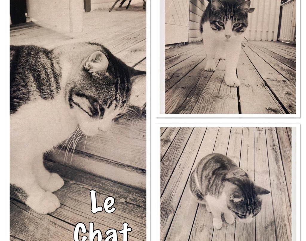 Balcon de Competa Hotel and Bungalows主图