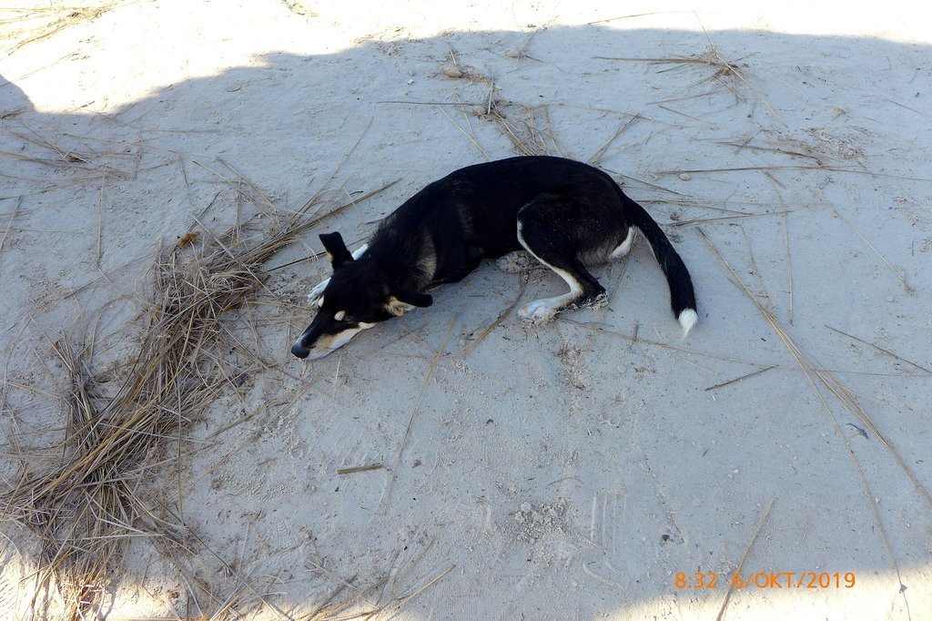 Hotel Bravo Djerba主图