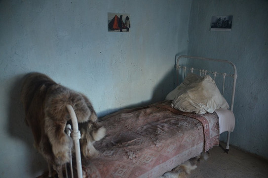 Sovetskaya Mountain-Wrangel Island必去景点