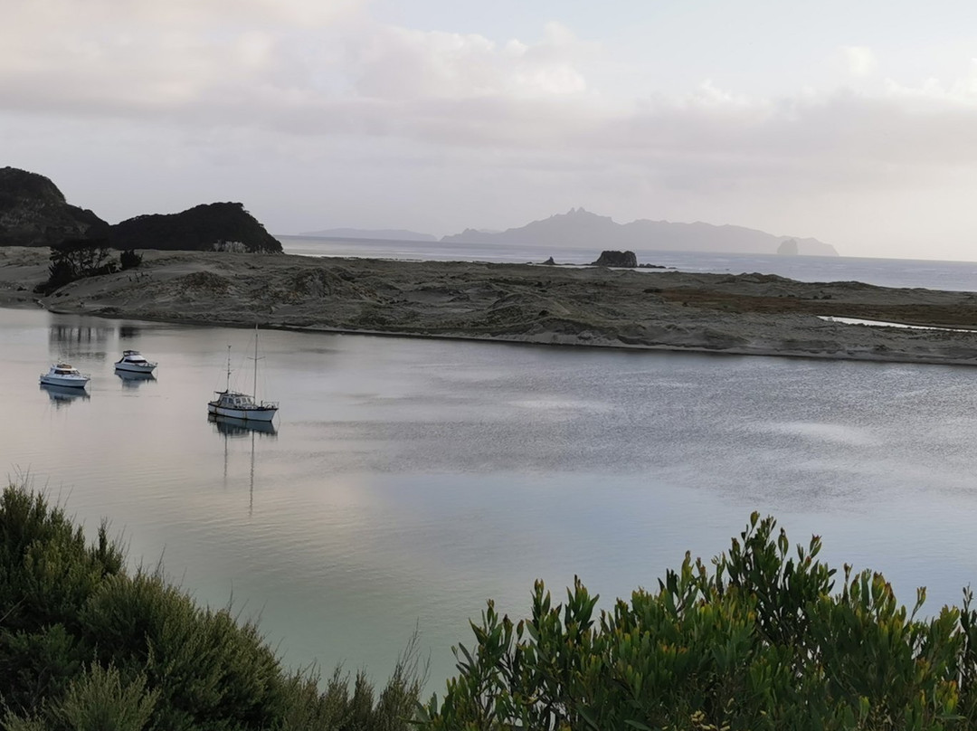 Mangawhai Heads旅游攻略图片