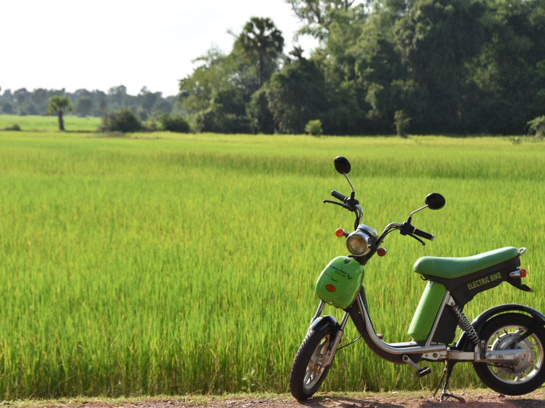 Green e-bike景点图片