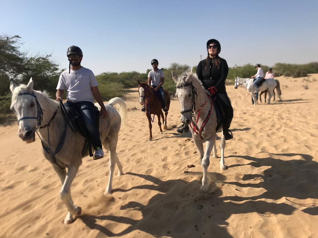 Pro Ride Stables-迪拜必去景点