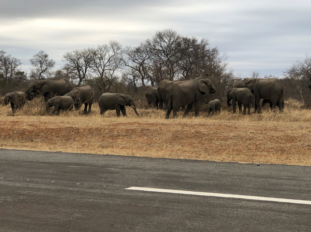 Hospitality Afrika-约翰内斯堡必去景点