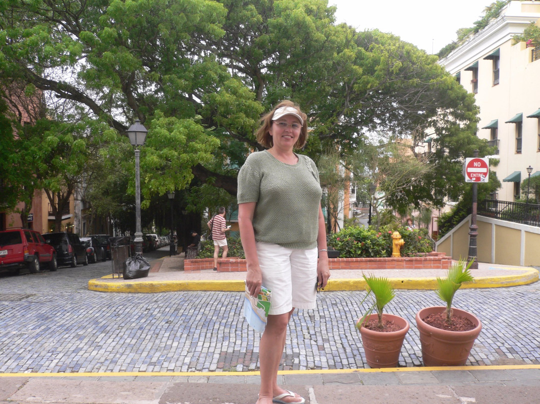 Plaza de la Catedral-圣胡安必去景点