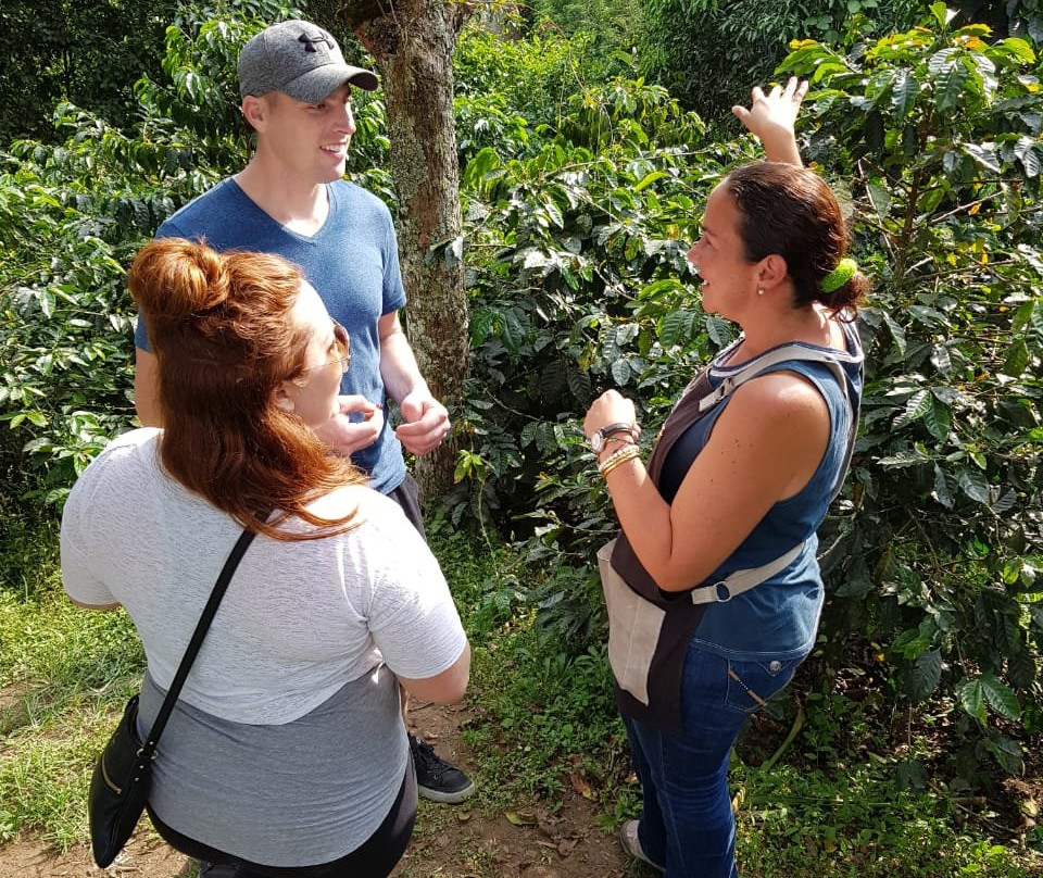 Serranía del nudo-Dosquebradas必去景点