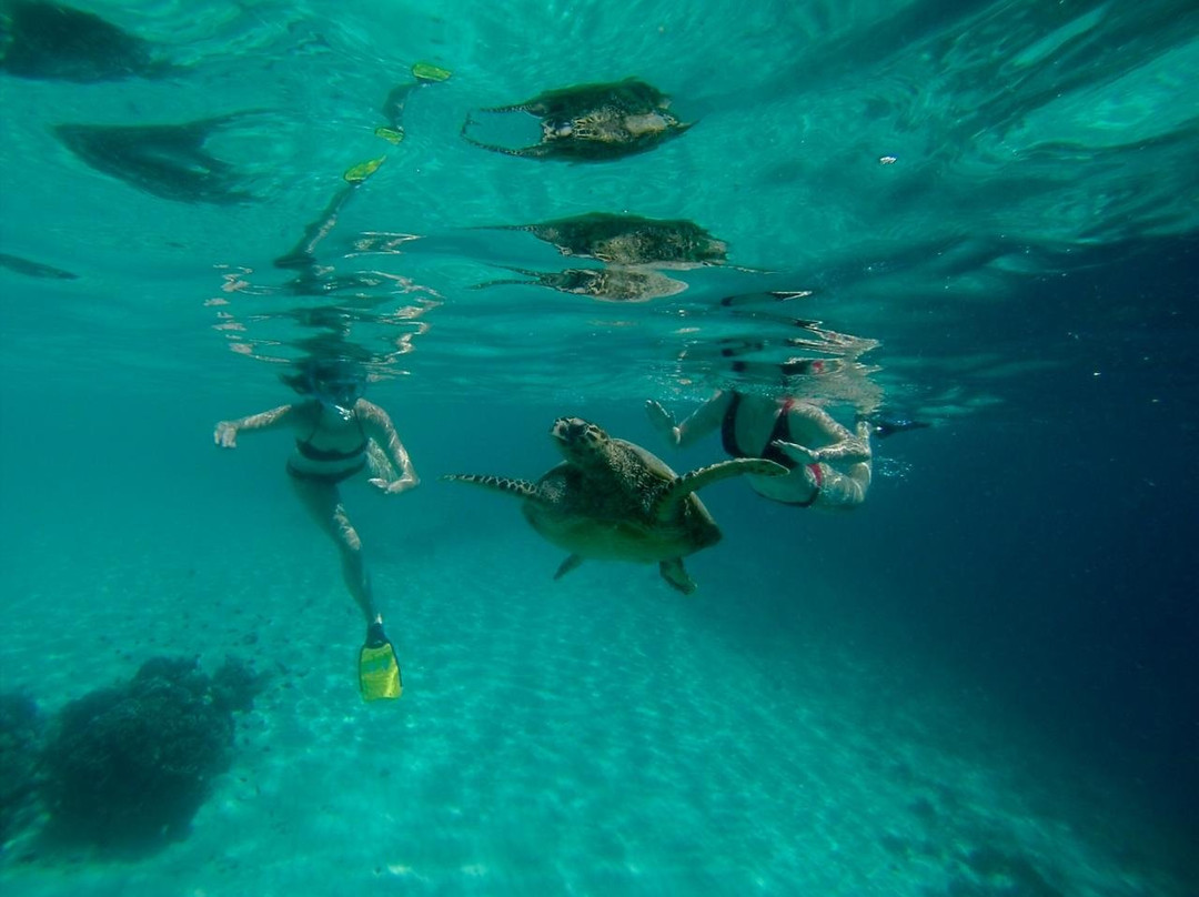 Lombok Swell Eco Tours-Senggigi必去景点