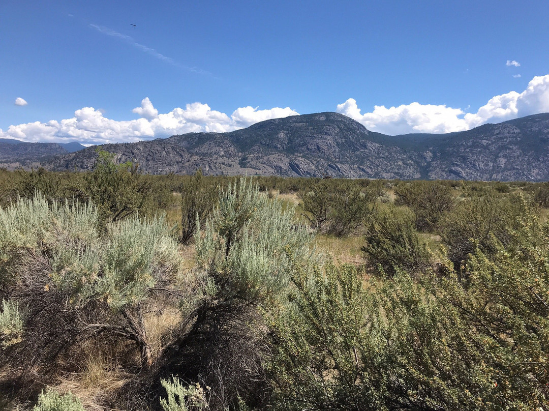 Osoyoos Desert Centre景点图片