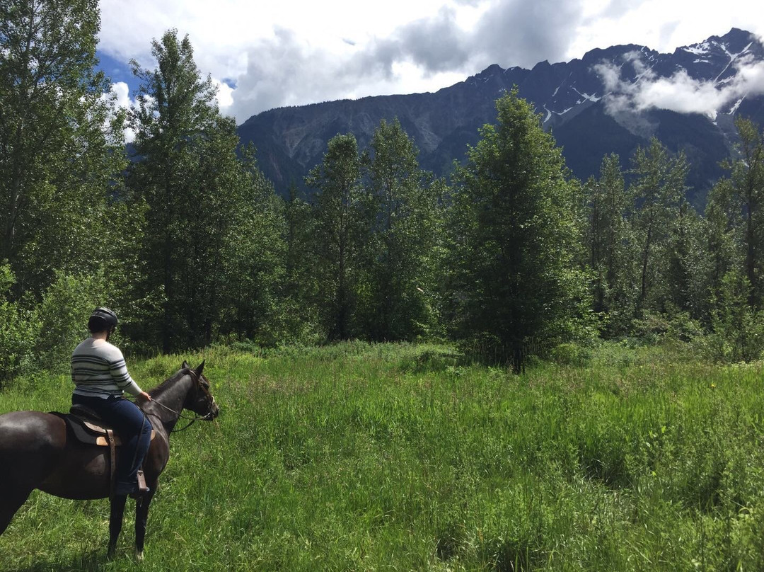 Adventure on Horseback景点图片