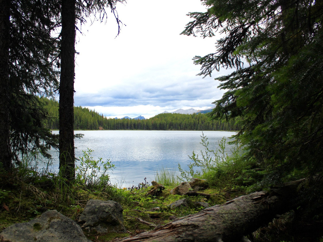 Lorraine Lake Trail景点图片