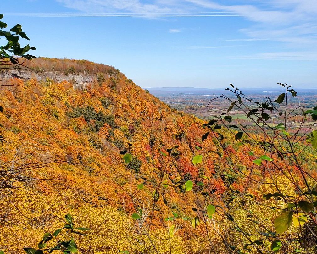 Thacher State Park景点图片