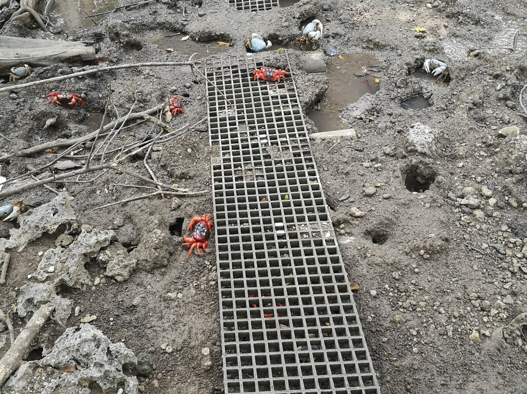 The Dales Hiking Trail-圣诞岛必去景点