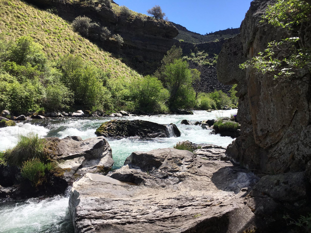 Alder Springs Trail景点图片