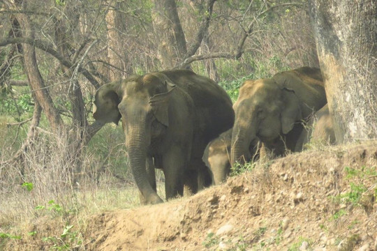Pathikworld Tours-里希克虚必去景点