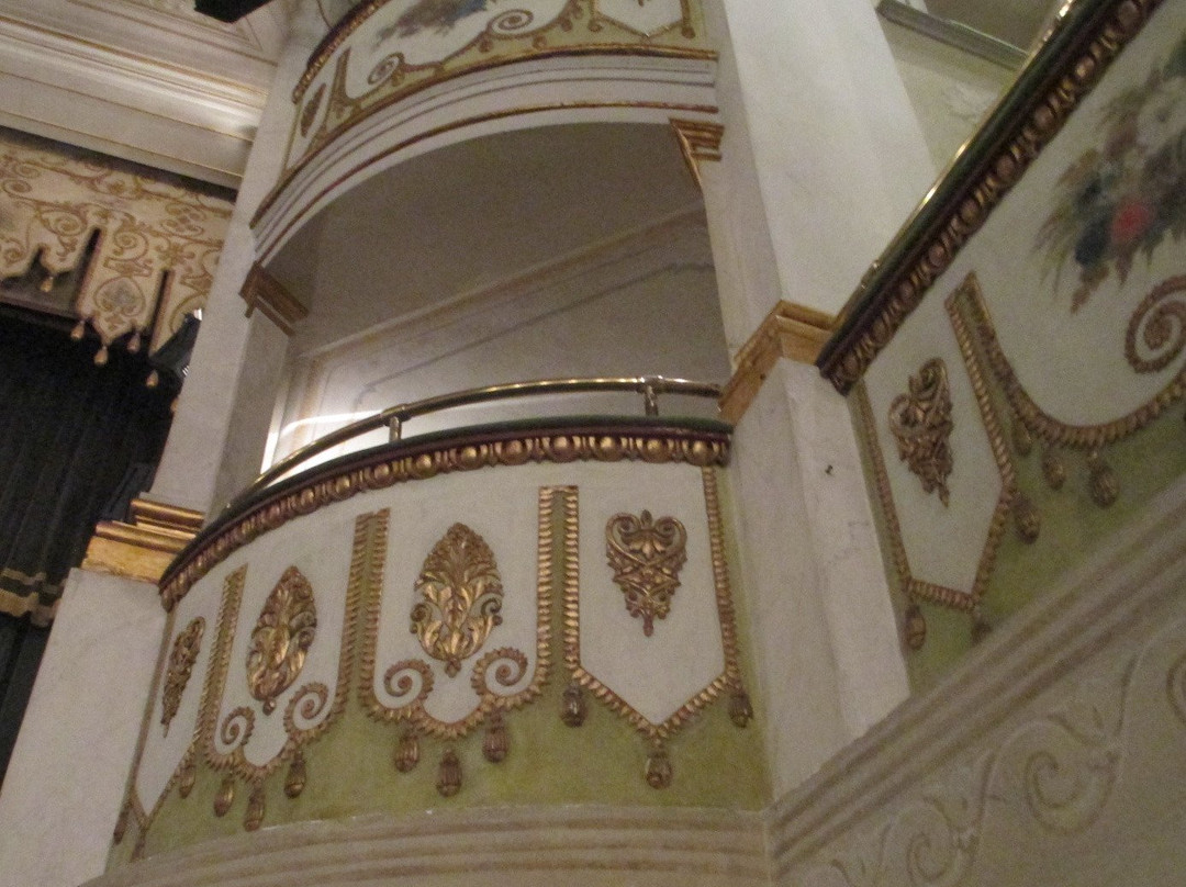 Teatro Accademico景点图片