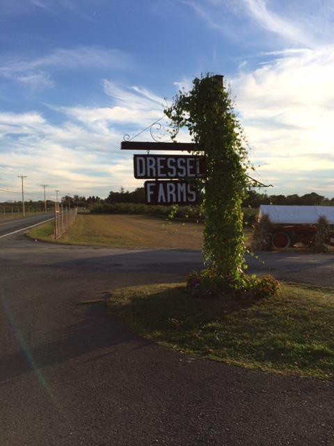 Dressel Farms景点图片