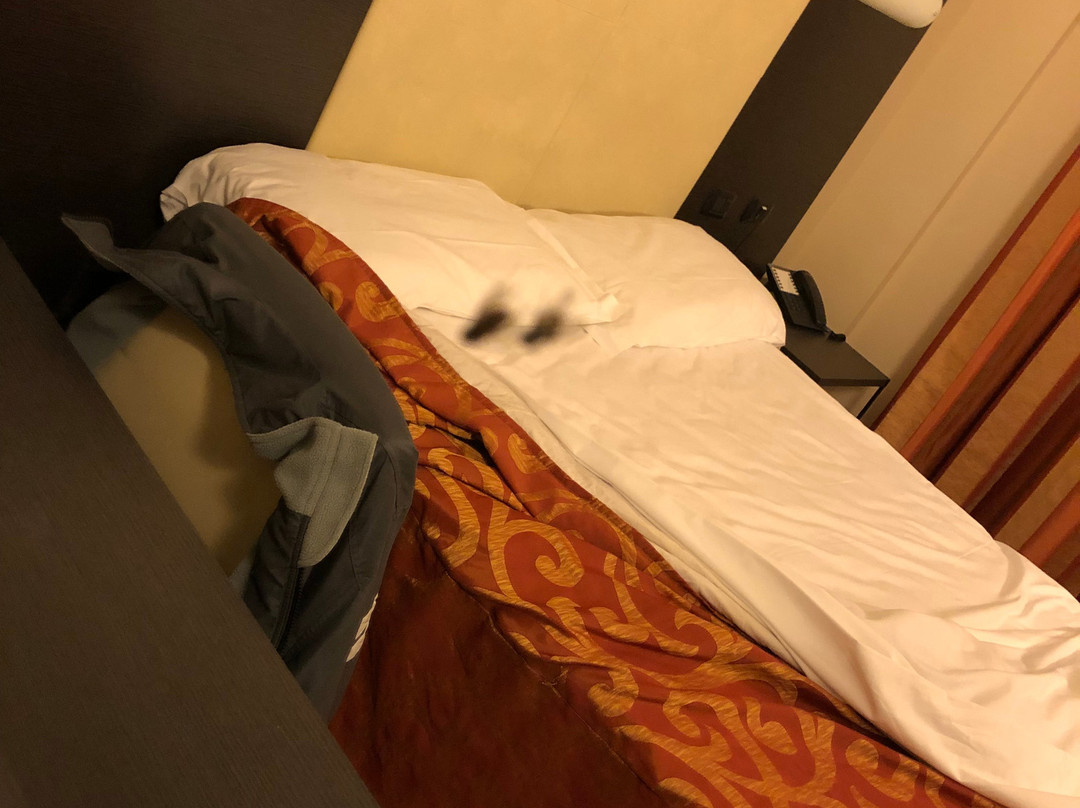 Elysium Hotel Raya主图