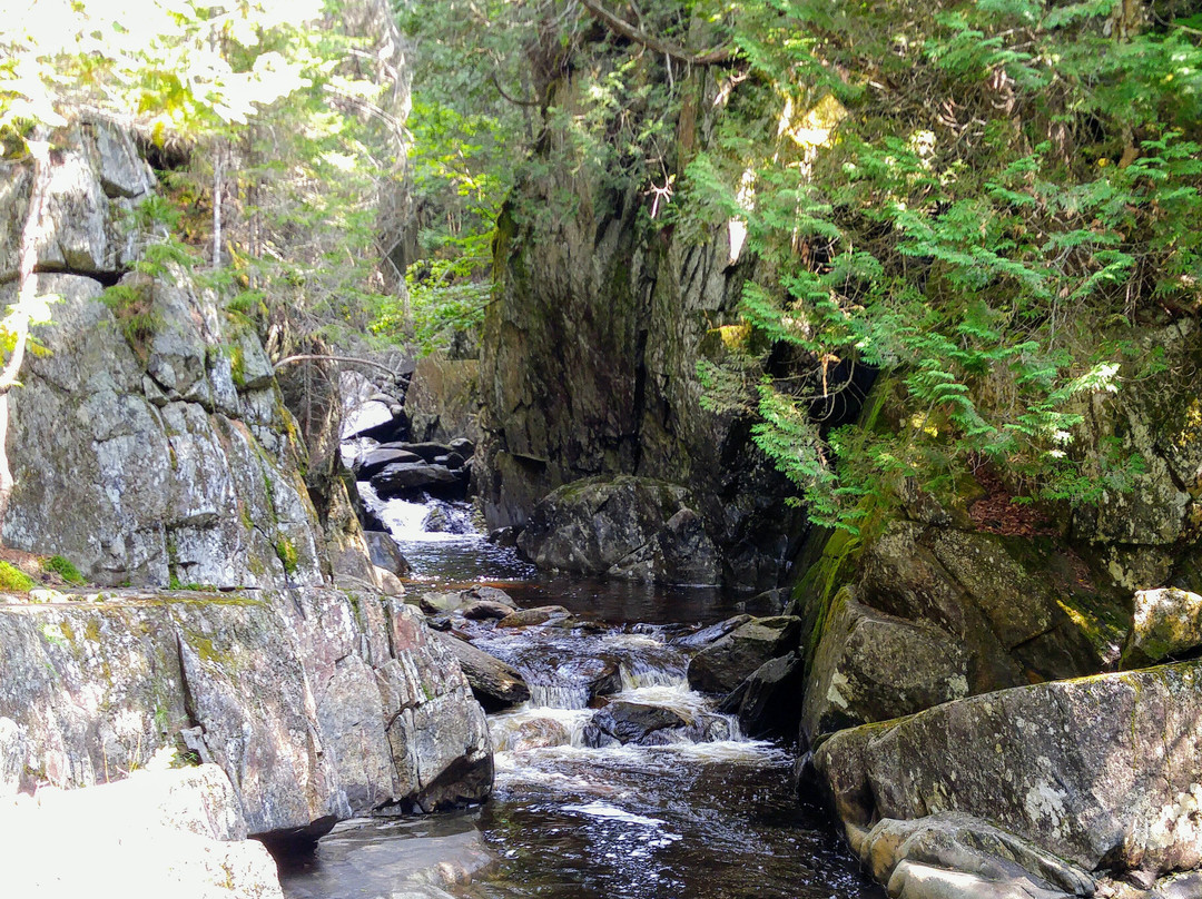 Cascade Stream Gorge Trail景点图片