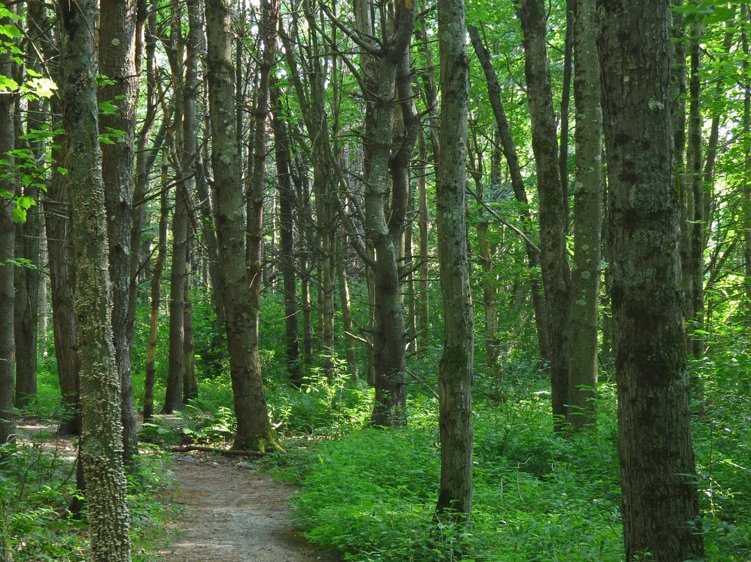 Fels-Grove Farm Preserve