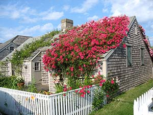 Nantucket Preservation Trust景点图片