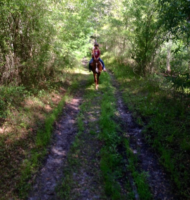 Choyce LLC-San Antonio必去景点