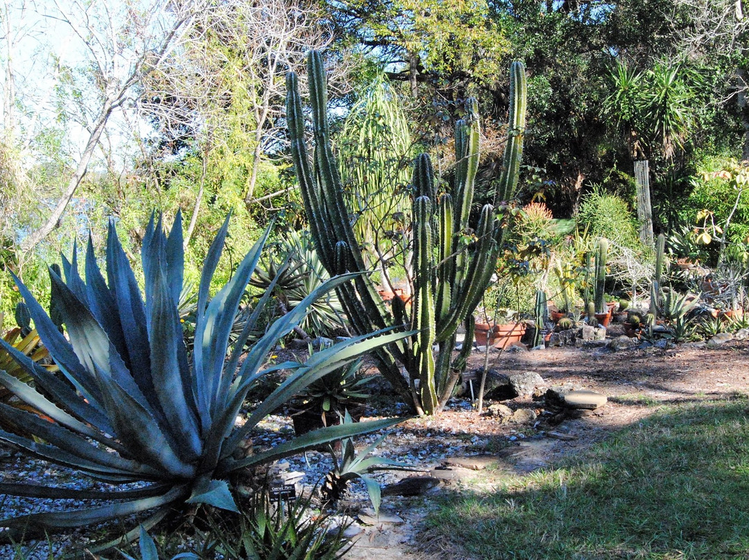 Temple Terrace旅游景点-University of South Florida Botanical Gardens, Tampa