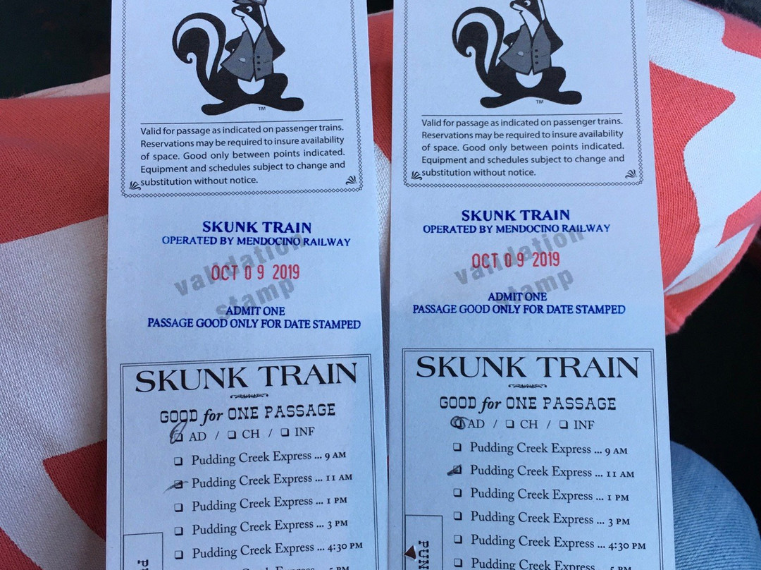 Skunk Train景点图片