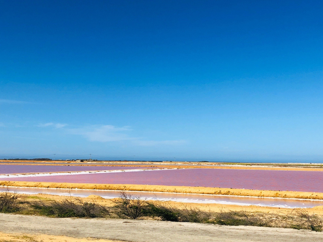 Salinas de Cumaragua景点图片