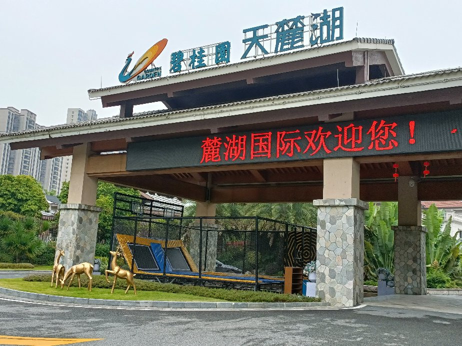 碧桂园天麓湖凤凰酒店主图