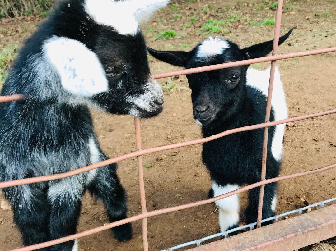 Lost Creek Safari-斯蒂尔沃特必去景点