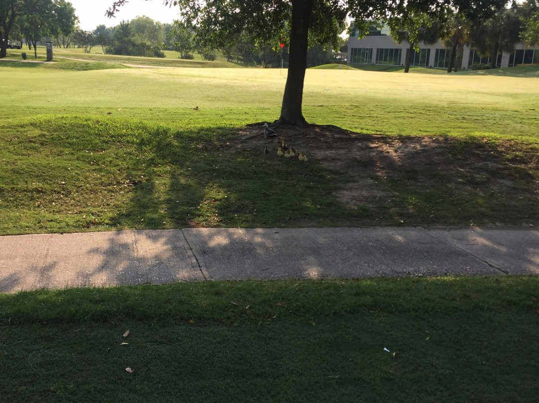 Heron Lakes Golf Course-休斯顿必去景点