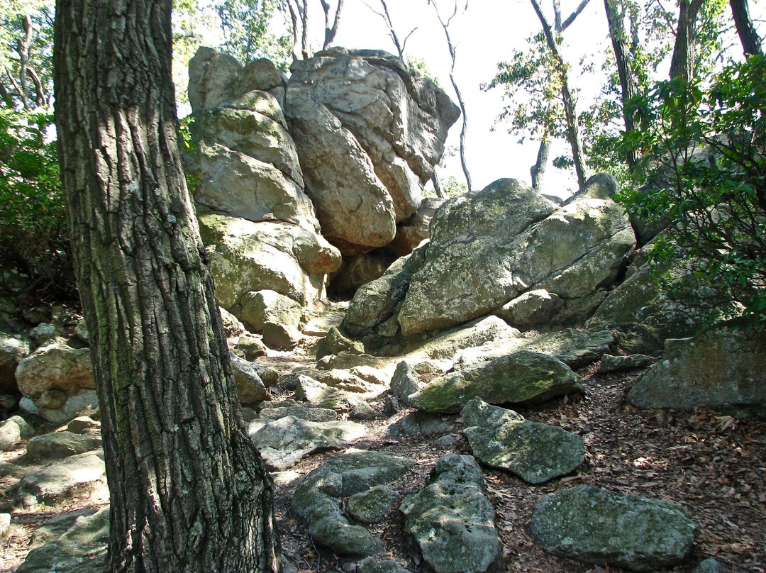 Samuel S. Lewis State Park景点图片