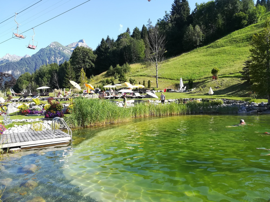 Alpinresort Schillerkopf主图