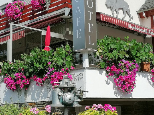 Moselromantik - Hotel Zum Löwen主图