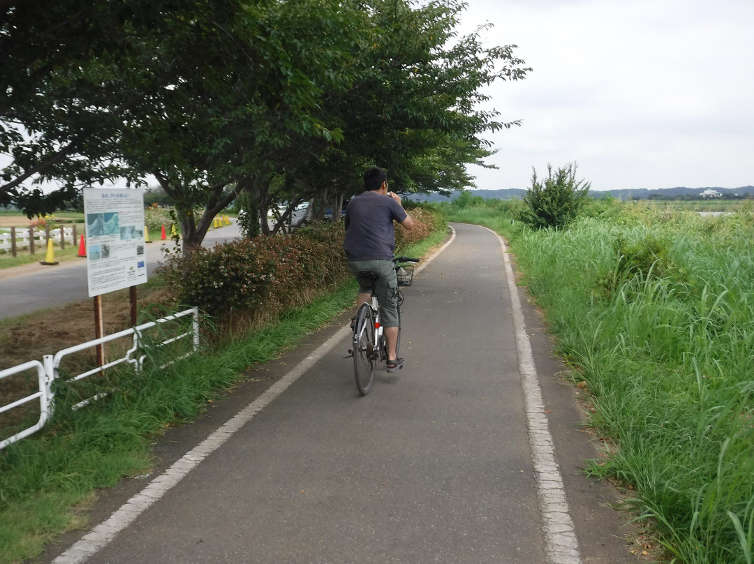 Imbanuma Bicycle Road-佐仓市必去景点