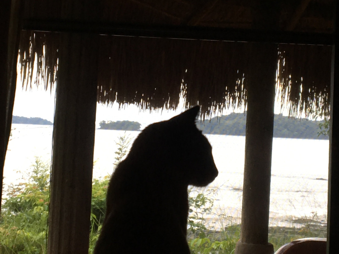 Selva Terra Island Resort主图