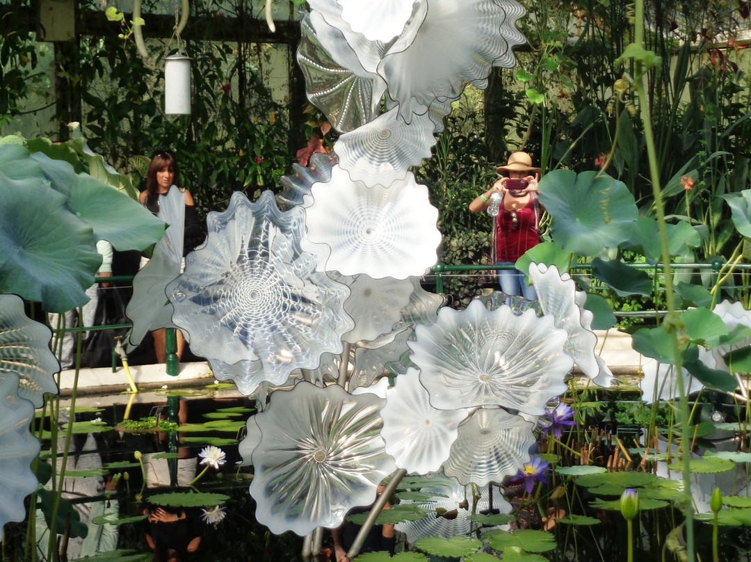 Waterlily House景点图片