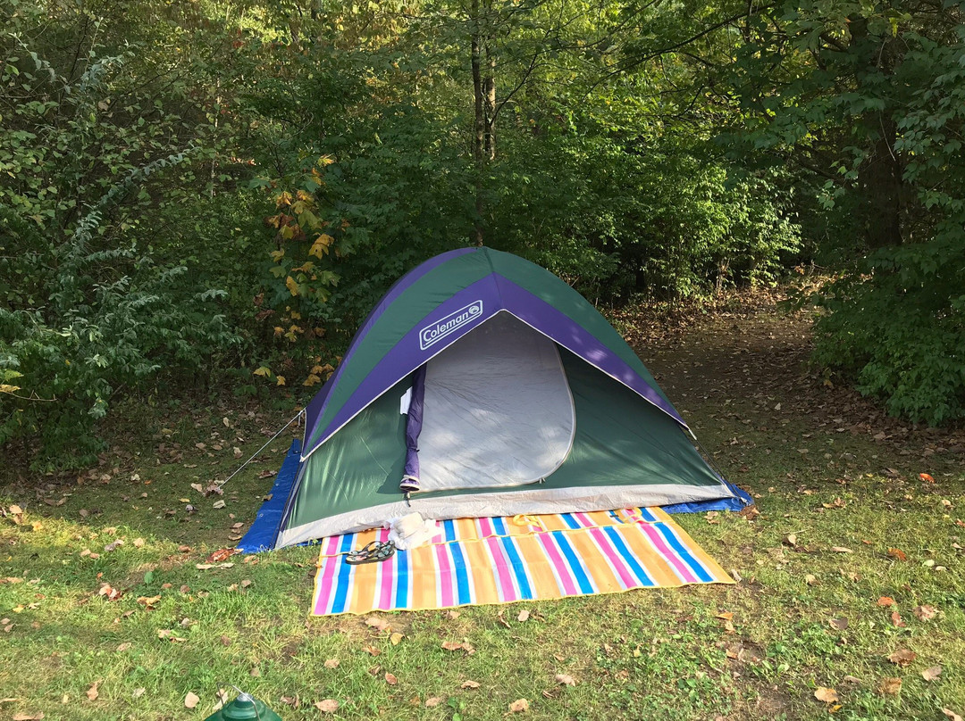East Fork State Park-Bethel必去景点