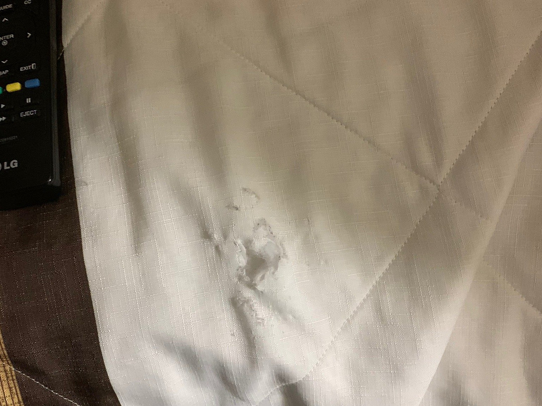 Extended Stay America - Philadelphia - Malvern - Swedesford Rd.主图