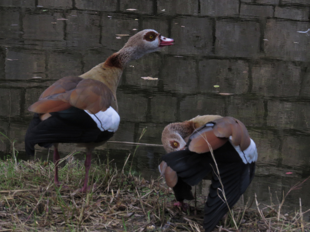 Petah Tikva Zoo-Petah Tiqwa必去景点