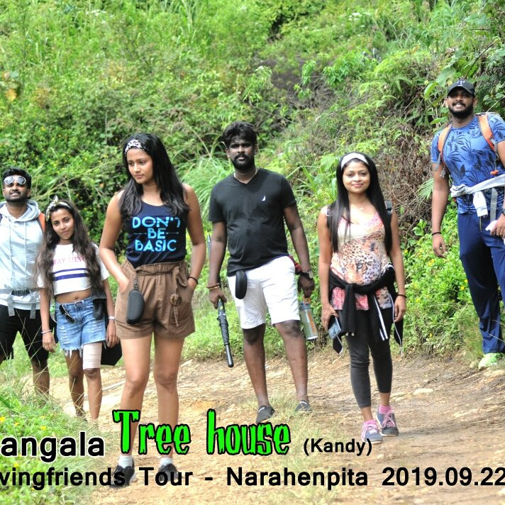 Tree House Rangala主图