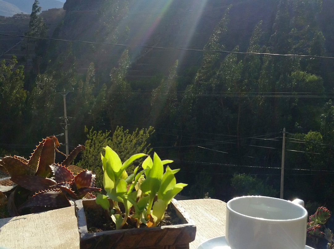 Casa Patacalle主图