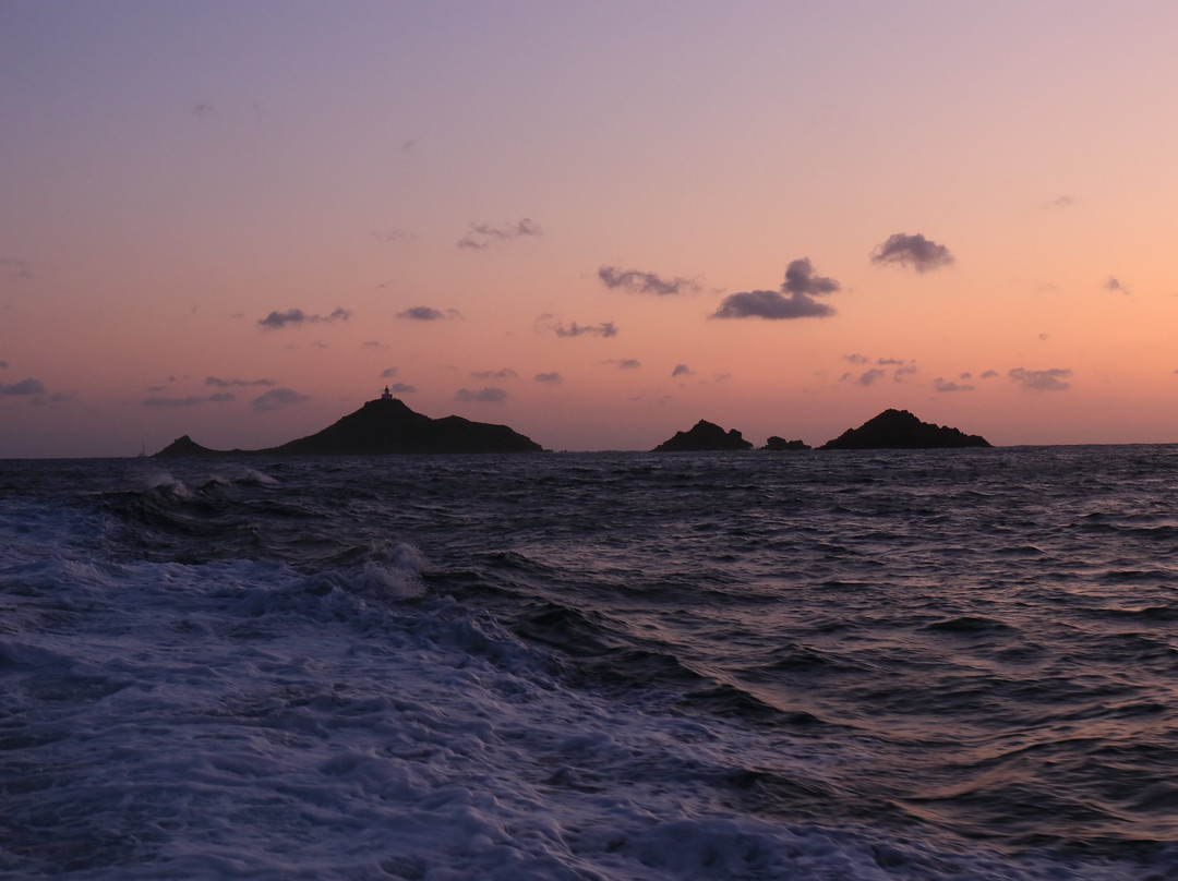 Îles Sanguinaires景点图片