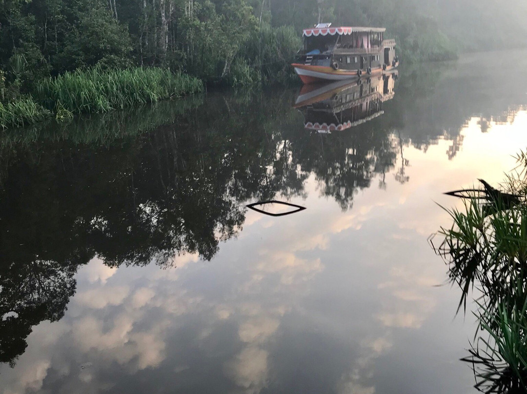 Wildlife Dream Tour-Pangkalan Bun必去景点