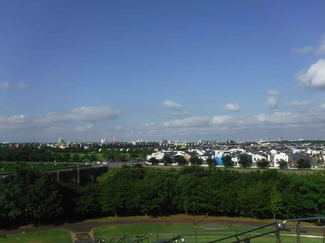 Makinohara Park-印西市必去景点