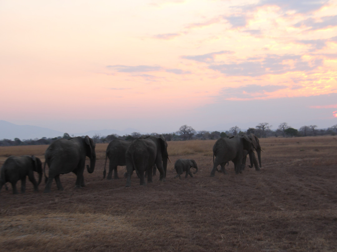 Upepo Safari-Dar es Salaam必去景点