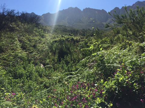 Murludi Farm-塔尔巴赫必去景点