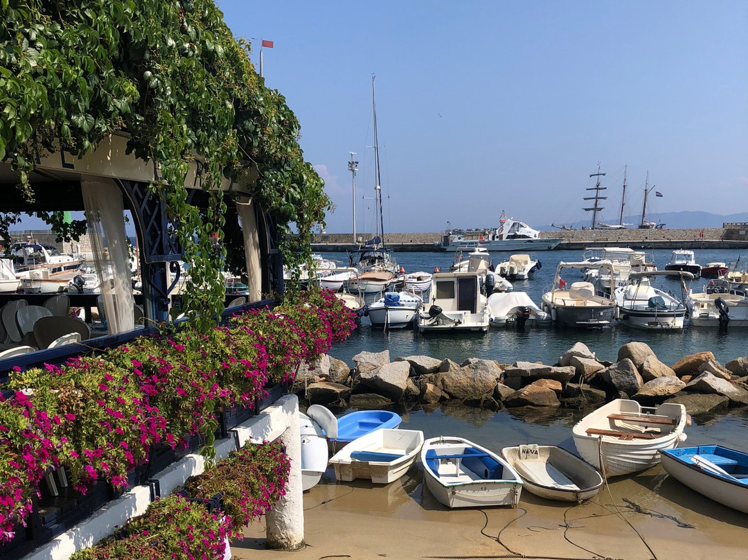 Caletta del Saraceno-Giglio Porto必去景点