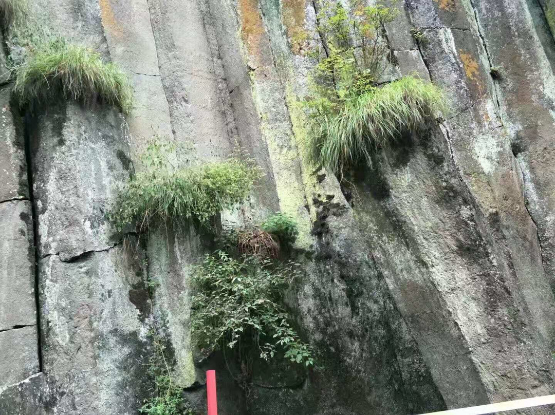 望天鹅风景区-长白朝鲜族自治县必去景点