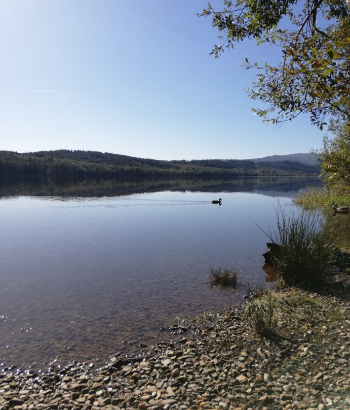 Loch Venachar景点图片