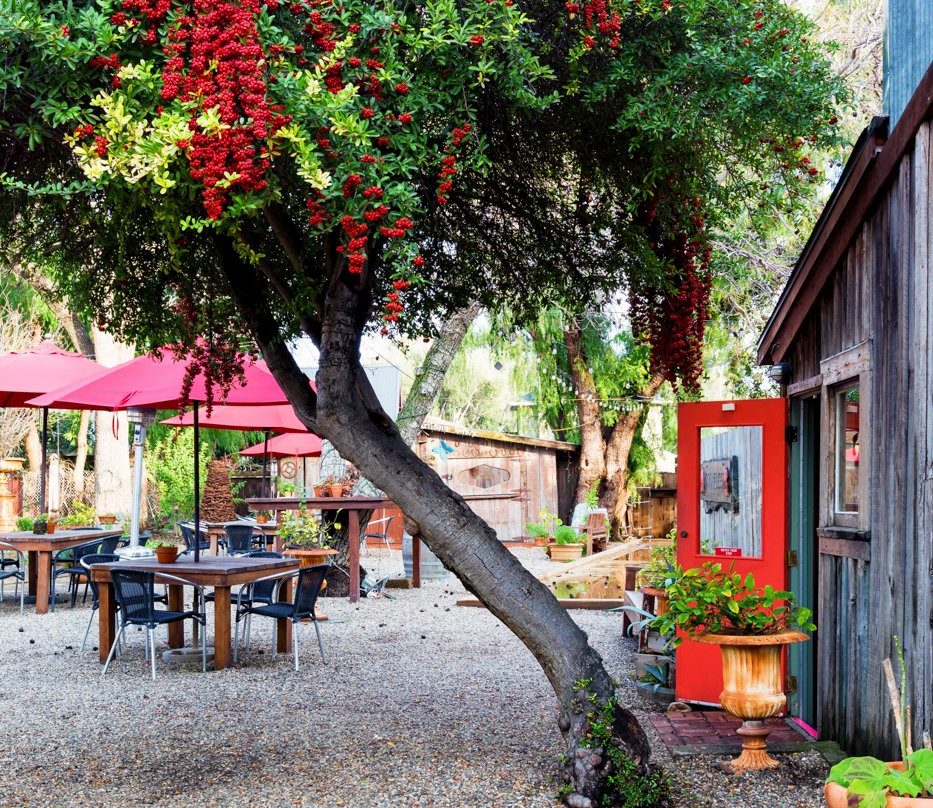 Coquelicot Estate Vineyards-洛斯奥利沃斯必去景点